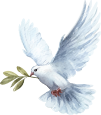 새