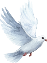 새
